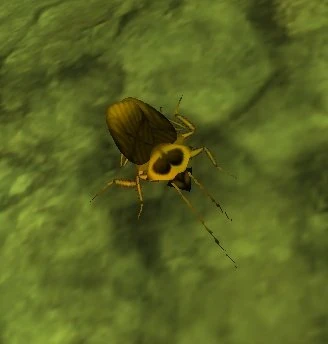 Tainted Cockroach