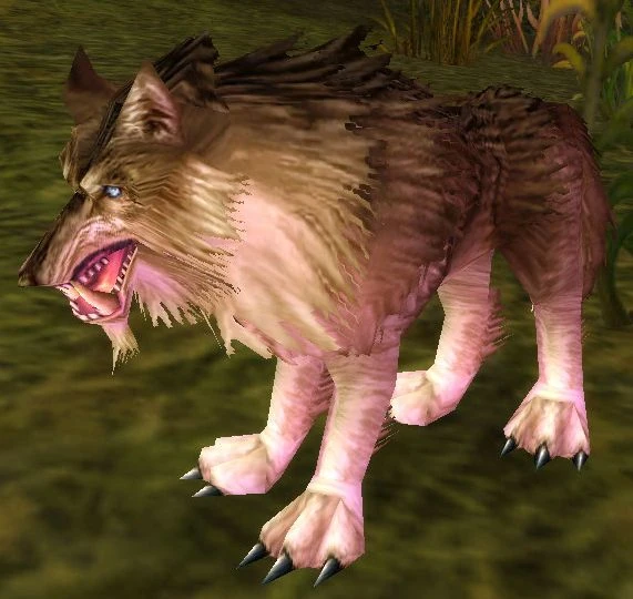 Worg Pup