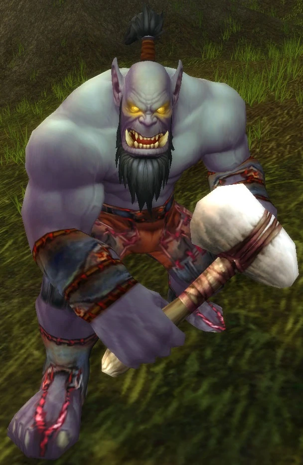 Dragonmaw Raider