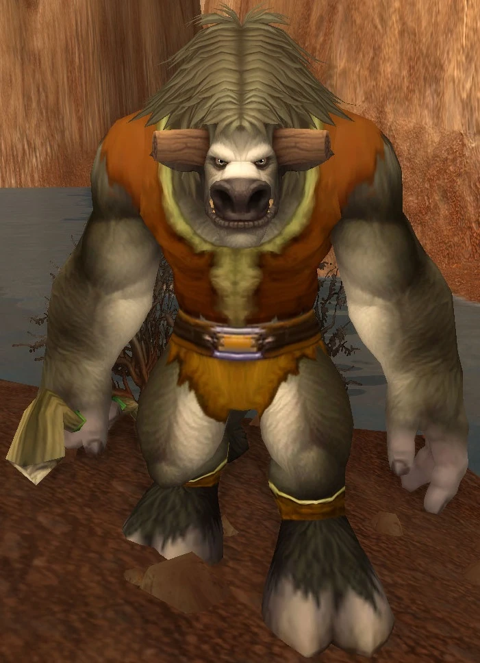 Pao'ka Swiftmountain