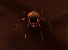 Plagued Insect