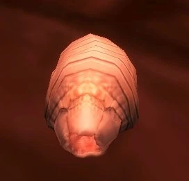 Plagued Maggot