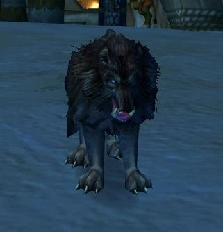 Dog