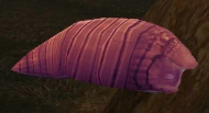 Temporal Parasite