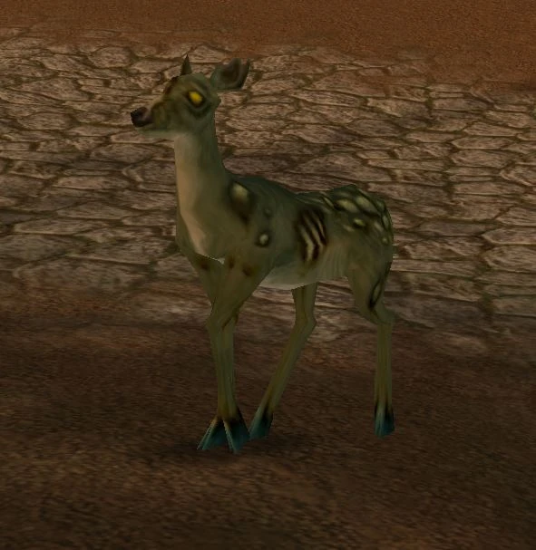 Infected Deer