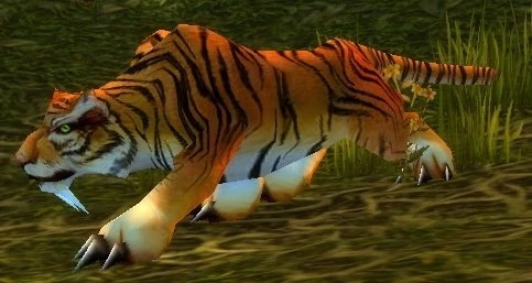 Elder Stranglethorn Tiger