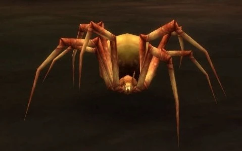 Leech Stalker