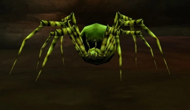Leech Widow