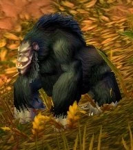 Jungle Thunderer