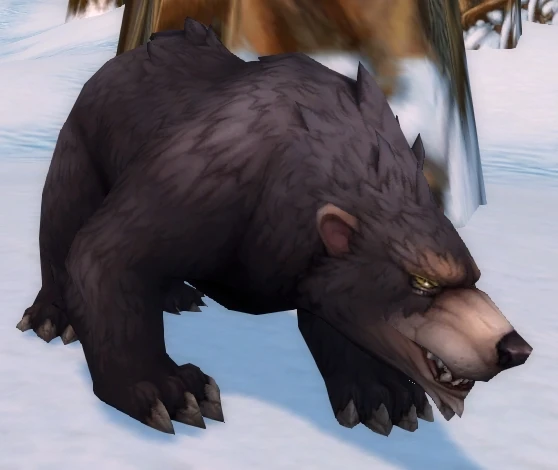Black Bear