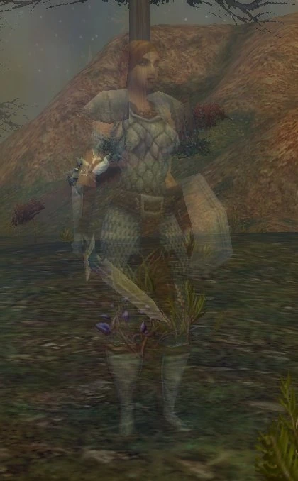 Darrowshire Poltergeist