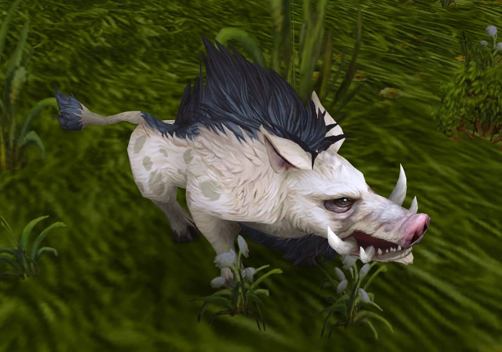 Stonetusk Boar