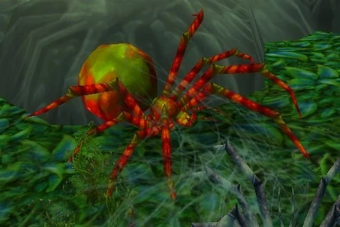 Razzashi Broodwidow
