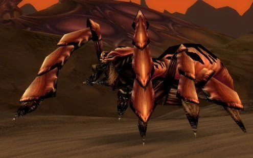 Hive'Zora Waywatcher