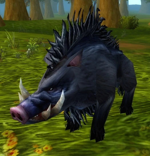 Longsnout