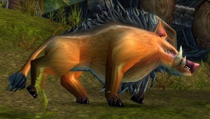 Mountain Boar