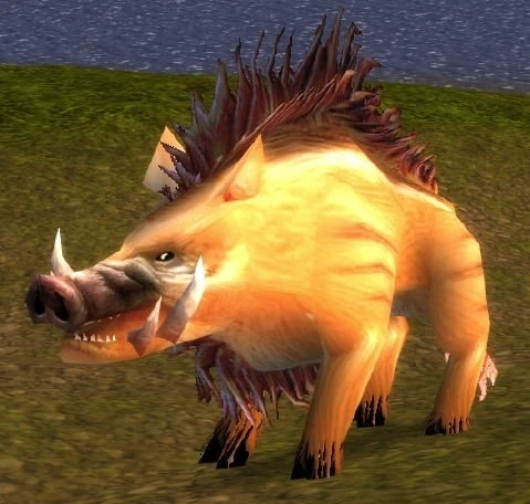 Mangy Mountain Boar