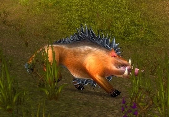 Freed Druid of the Talon