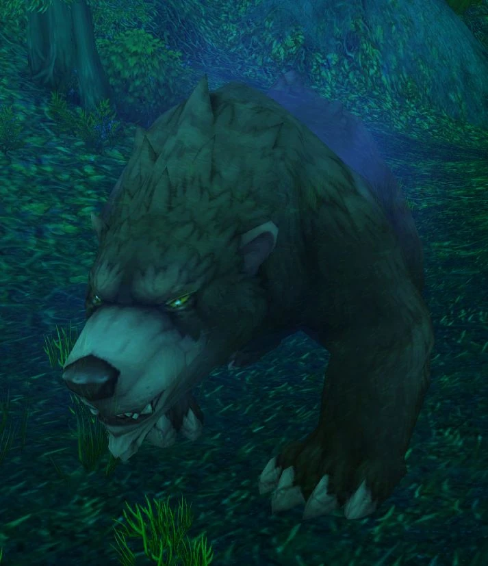 Great Bear Spirit