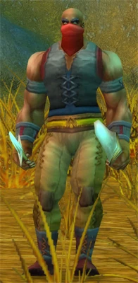Defias Highwayman