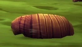 Vile Larva