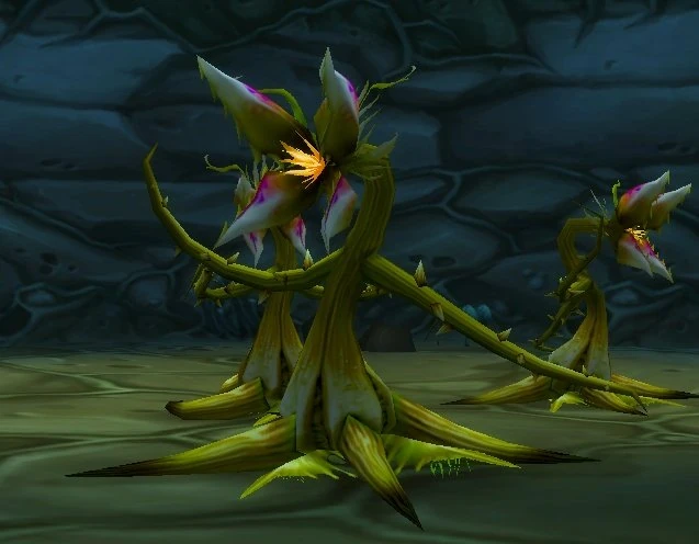 Constrictor Vine