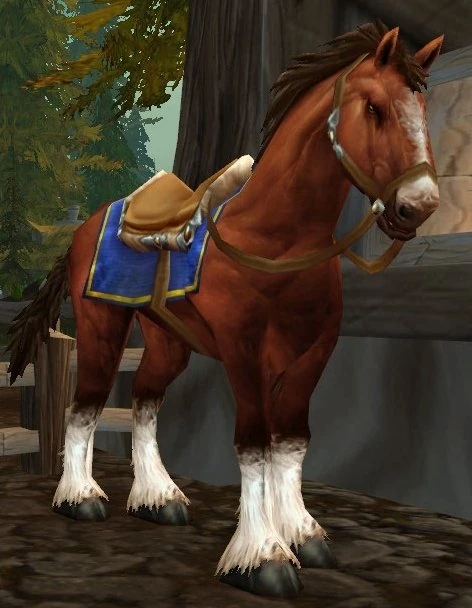 Chestnut Mare