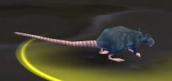 Deeprun Rat