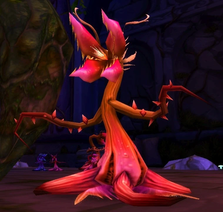 Fel Lash