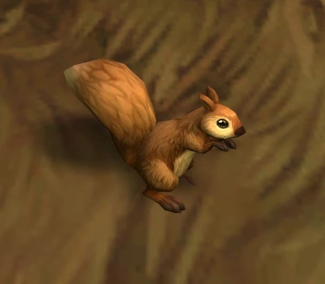 Squirrel