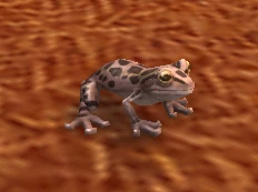 Toad