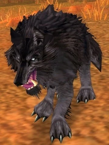 Fang