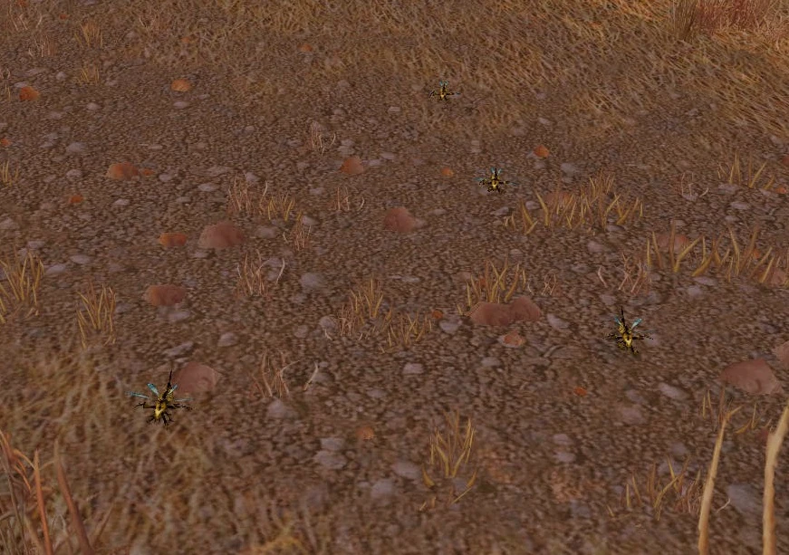 Swarm of bees