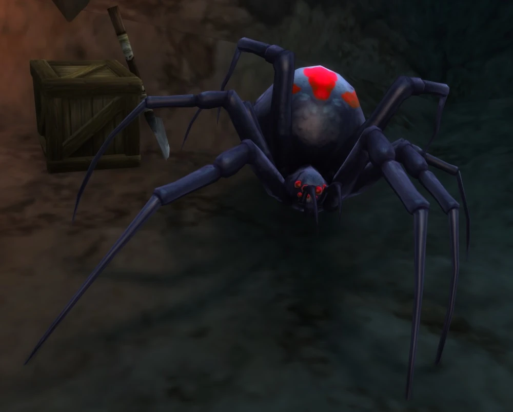 Night Web Spider