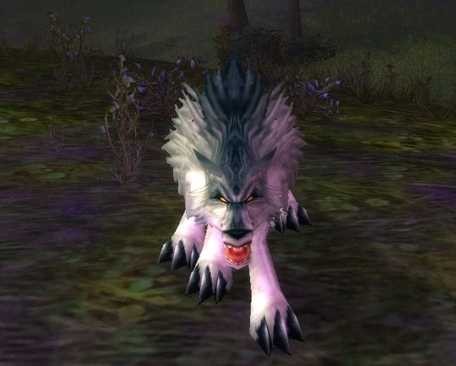 Ragged Scavenger