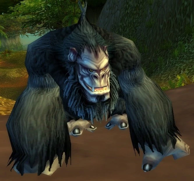 Konda