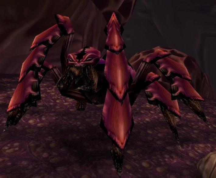 Hive'Zara Collector