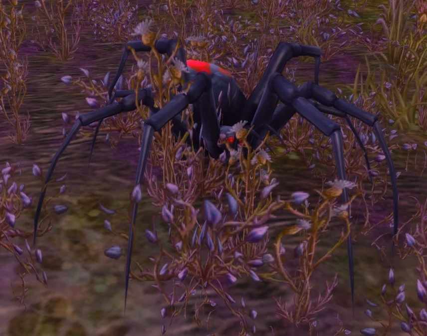 Vicious Night Web Spider