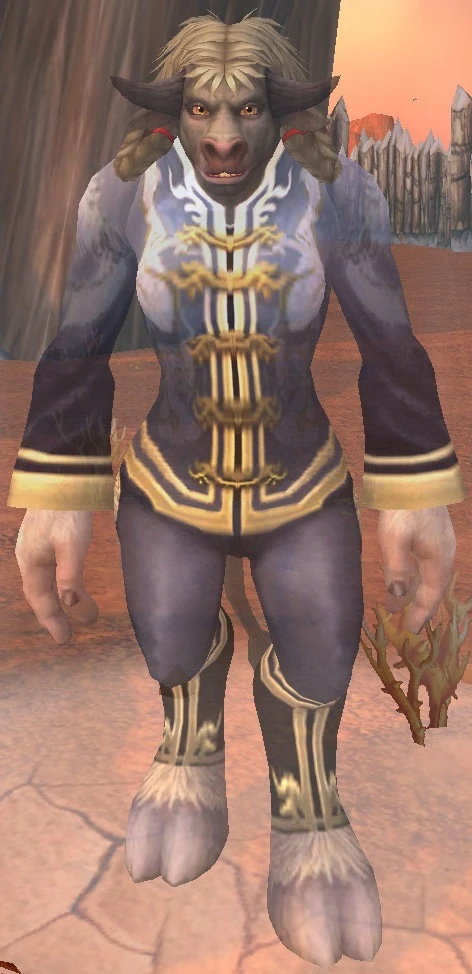 Elder Runetotem