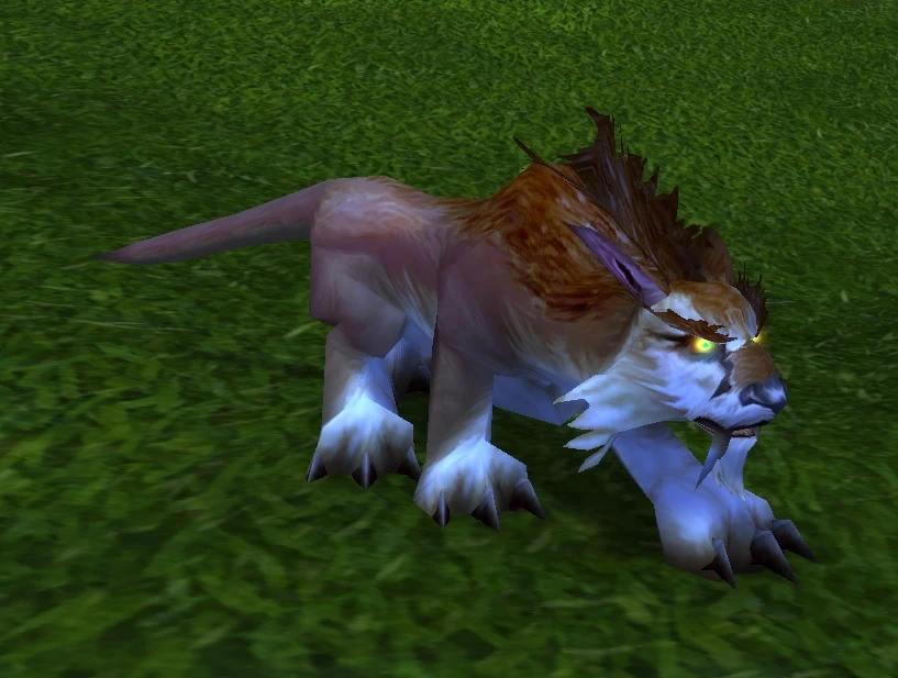 Elder Springpaw