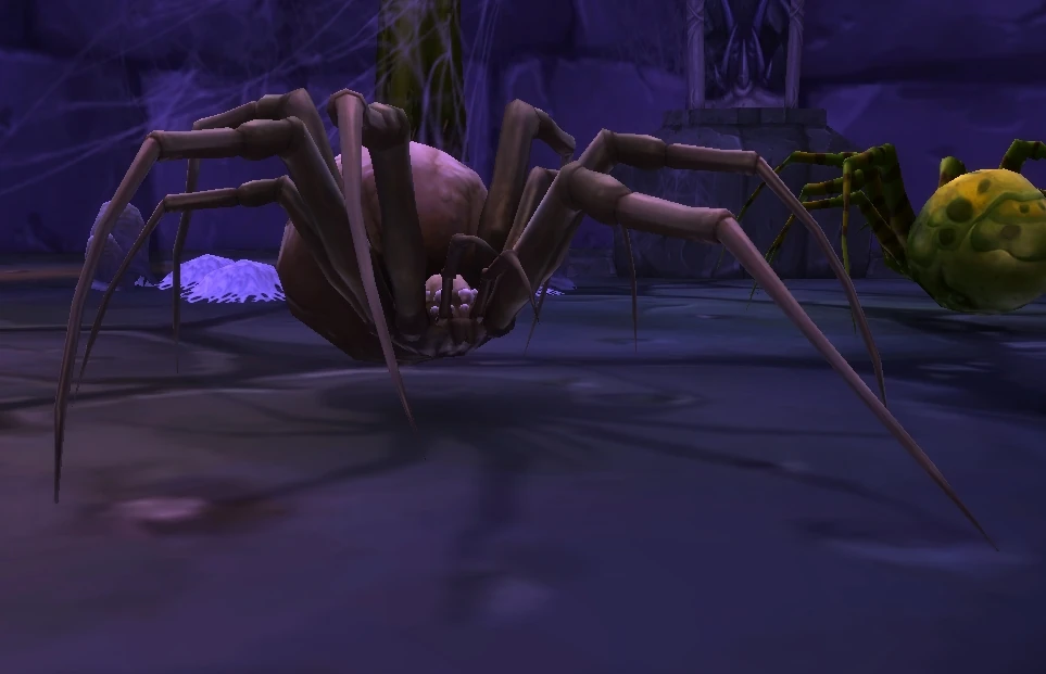 Carrion Spinner