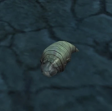 Maggot