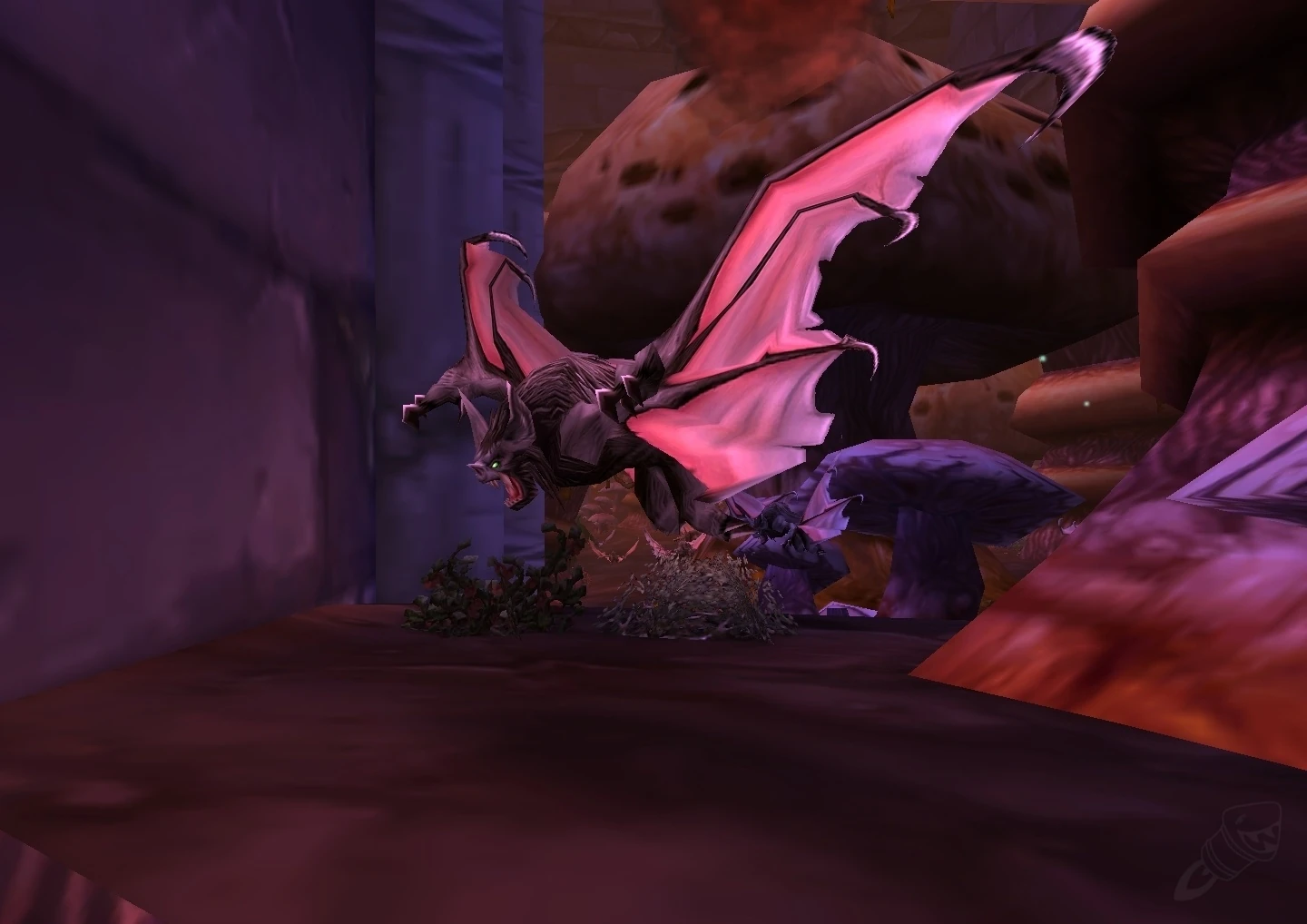 Frenzied Bat