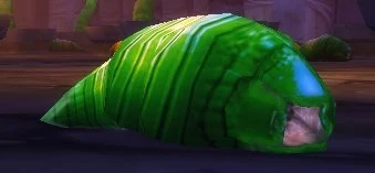Diseased Maggot