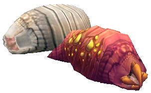 Larva