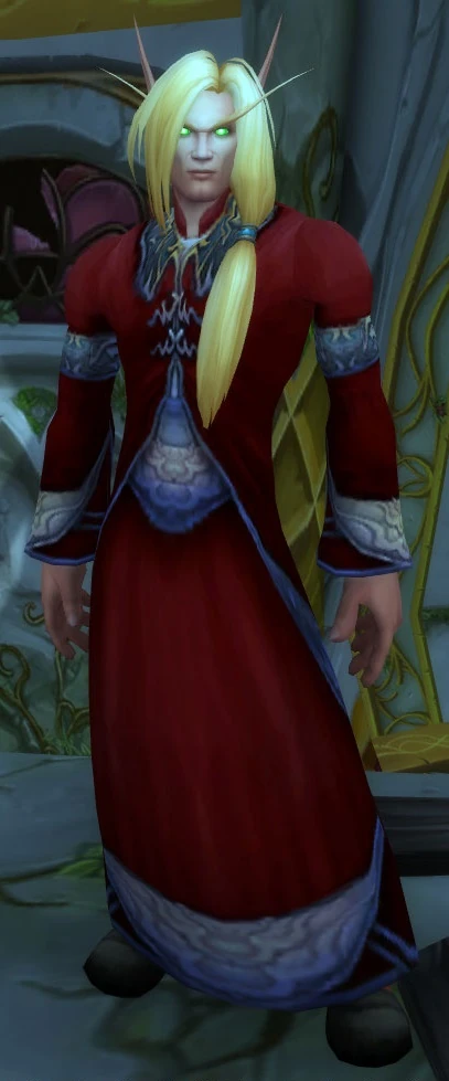 Magister Idonis