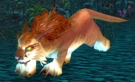 Arcane Warder