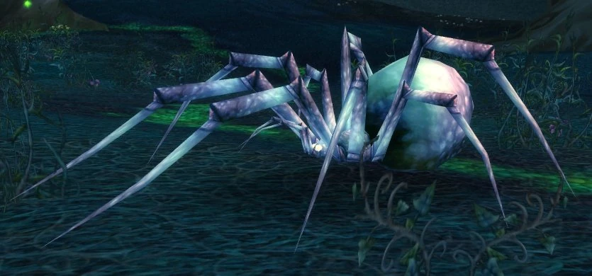 Greater Spindleweb