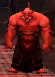 Shadowmoon Acolyte