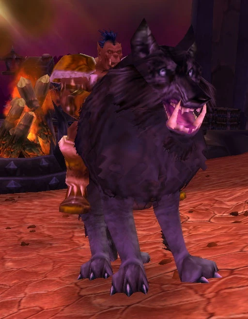Mag'har Hunter